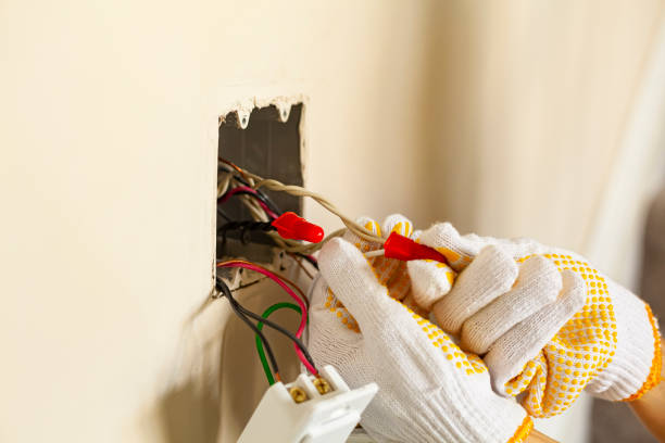 Best Electrical Panel Upgrades  in Elgin, IL